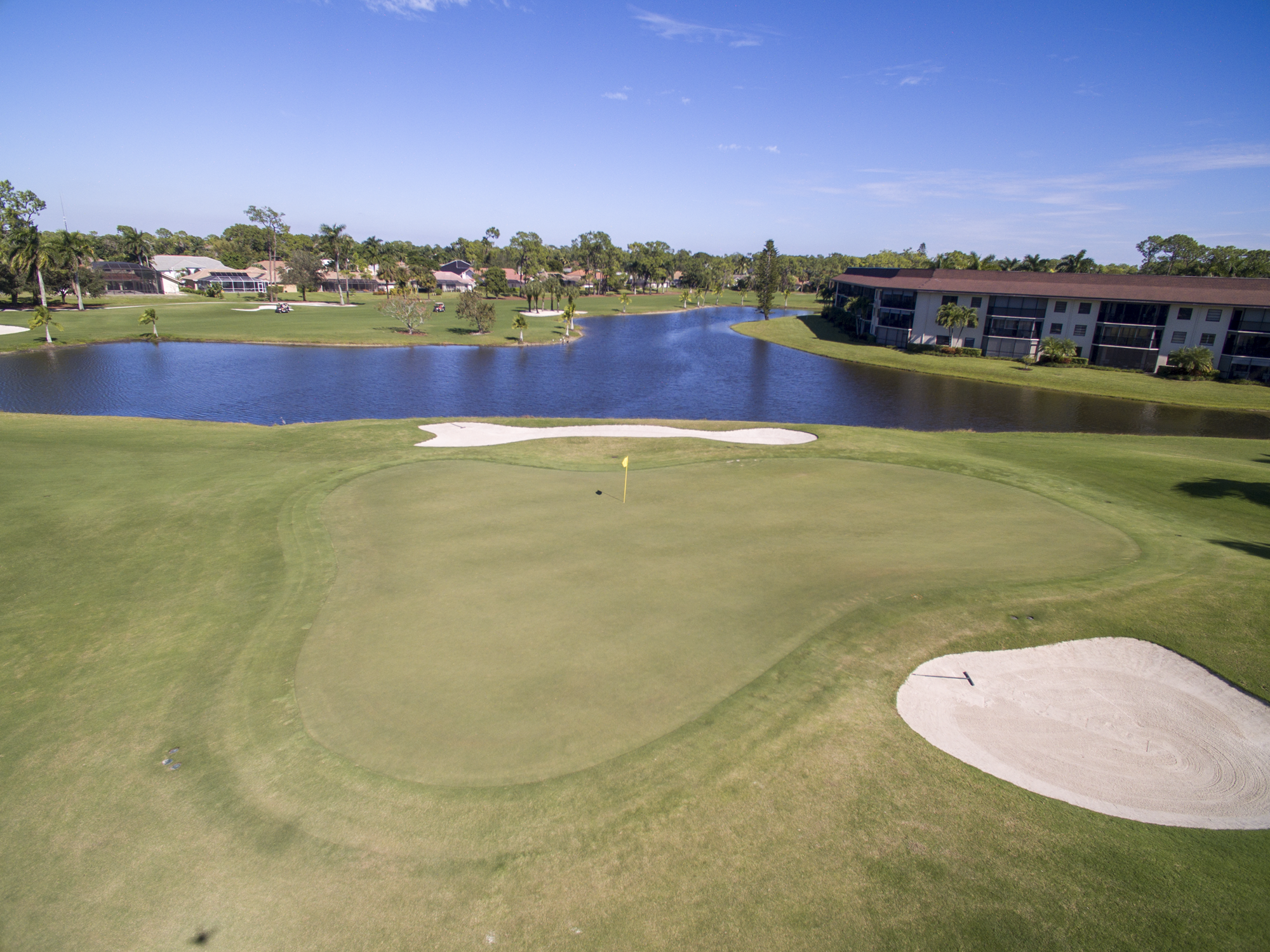 royal-palm-hole-8-green