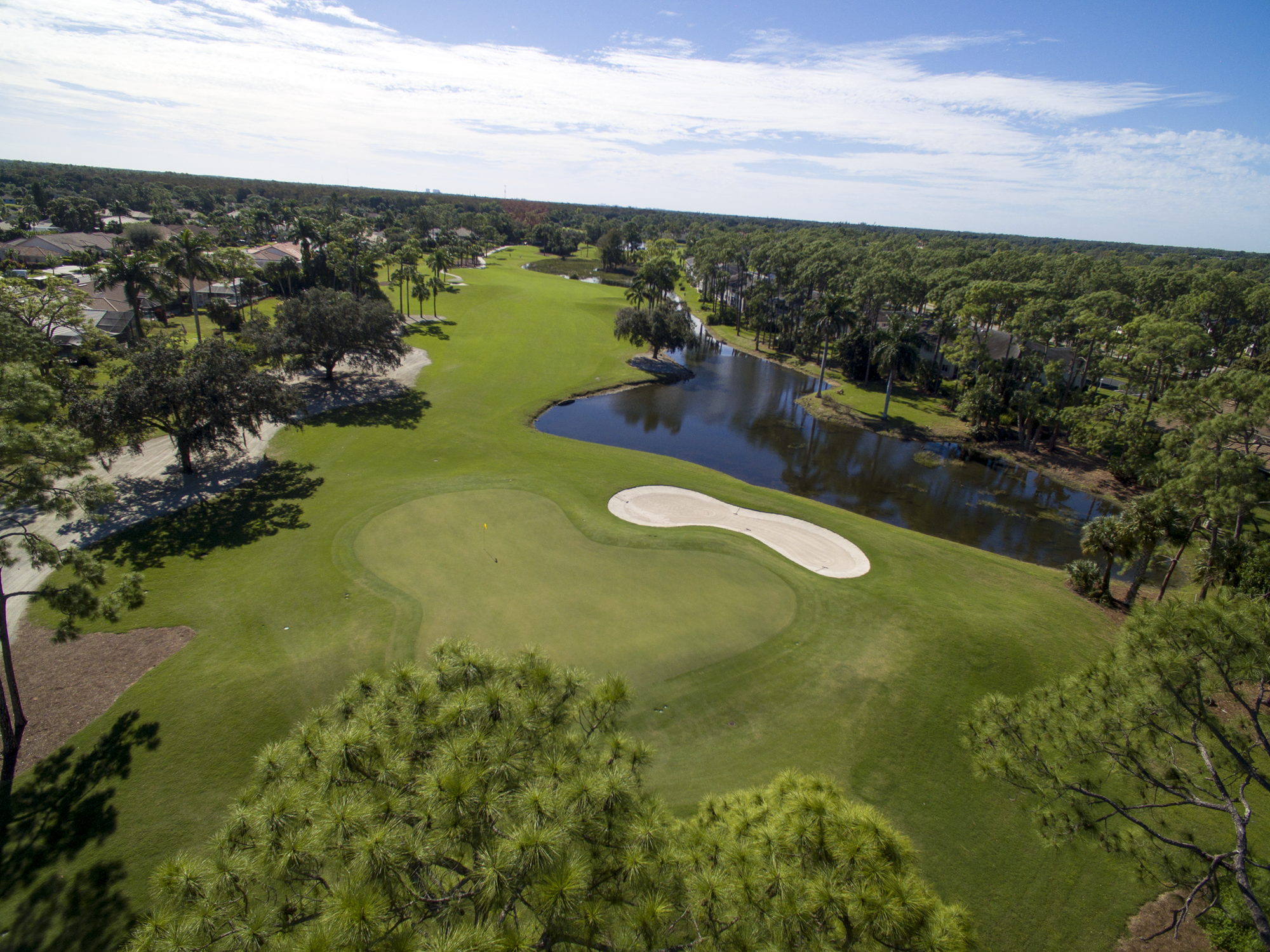 royal-palm-hole-12-green