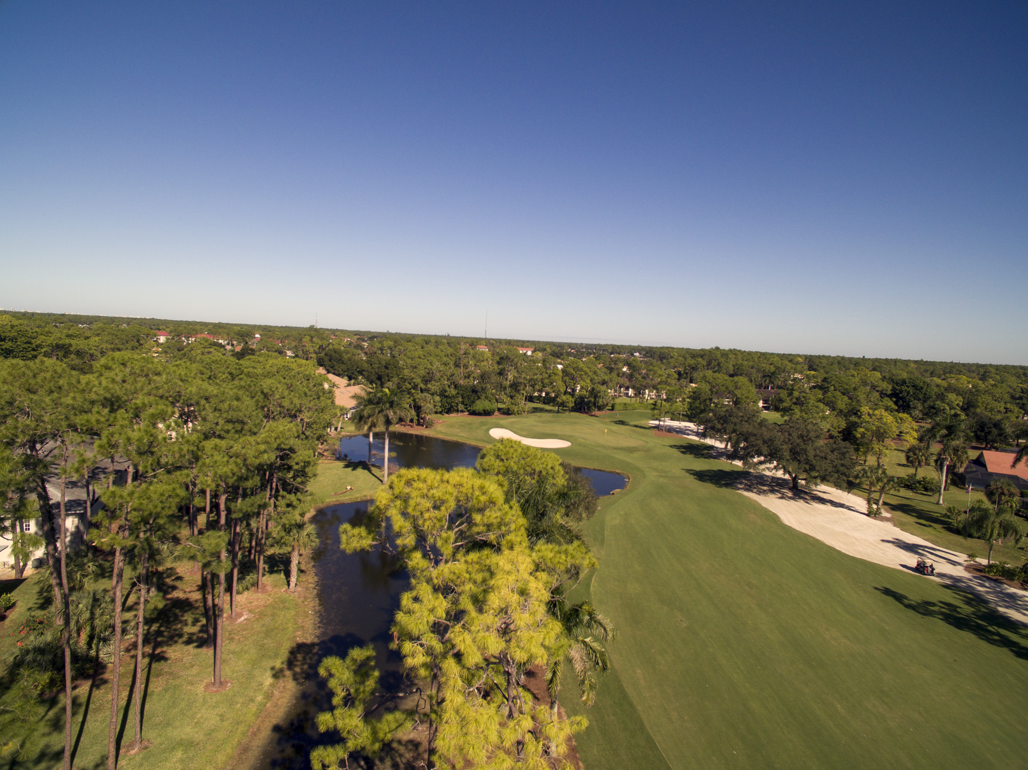 royal-palm-hole-12-fairway