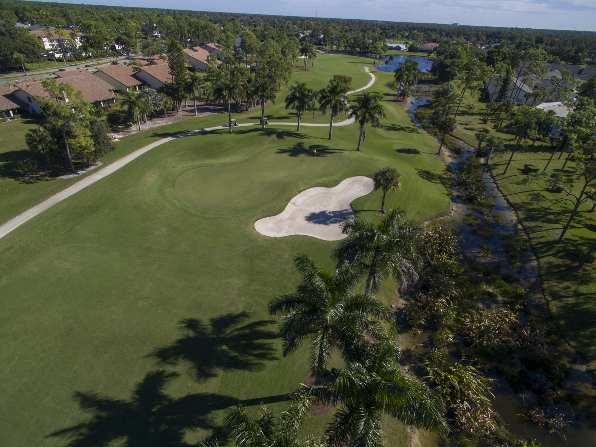 royal-palm-hole-10-green