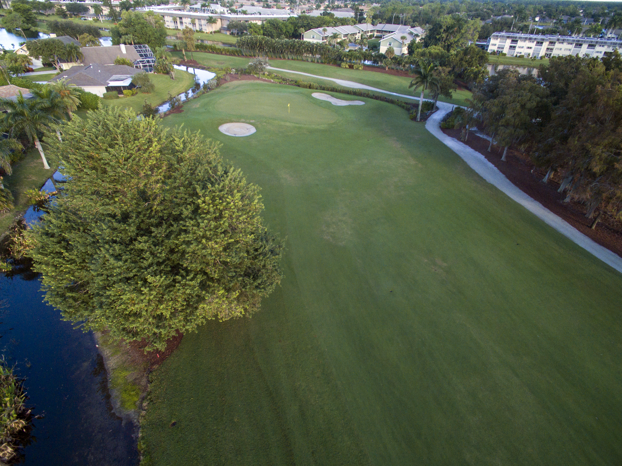 royal-palm-hole-2-green