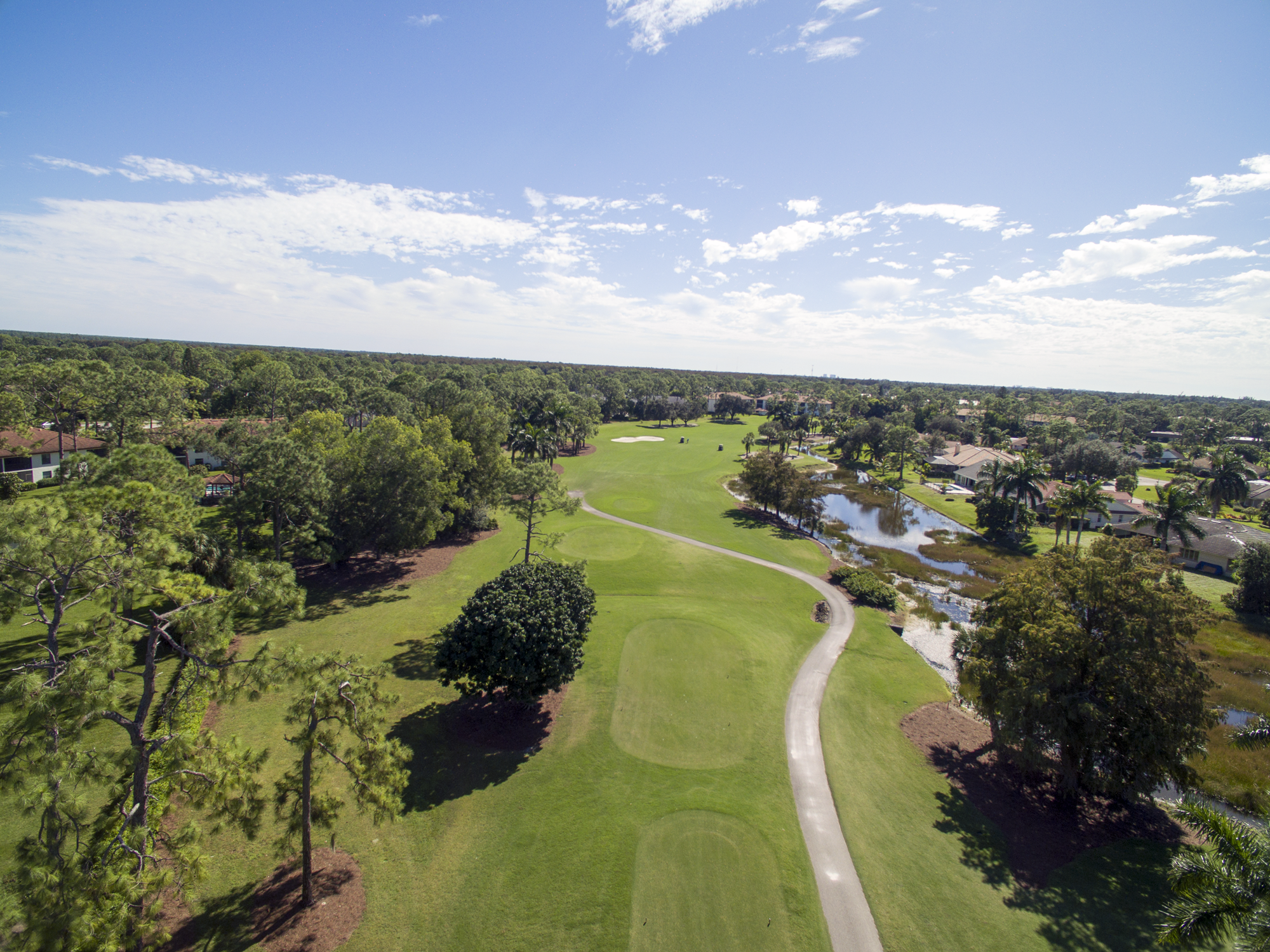 royal-palm-hole-6-tee