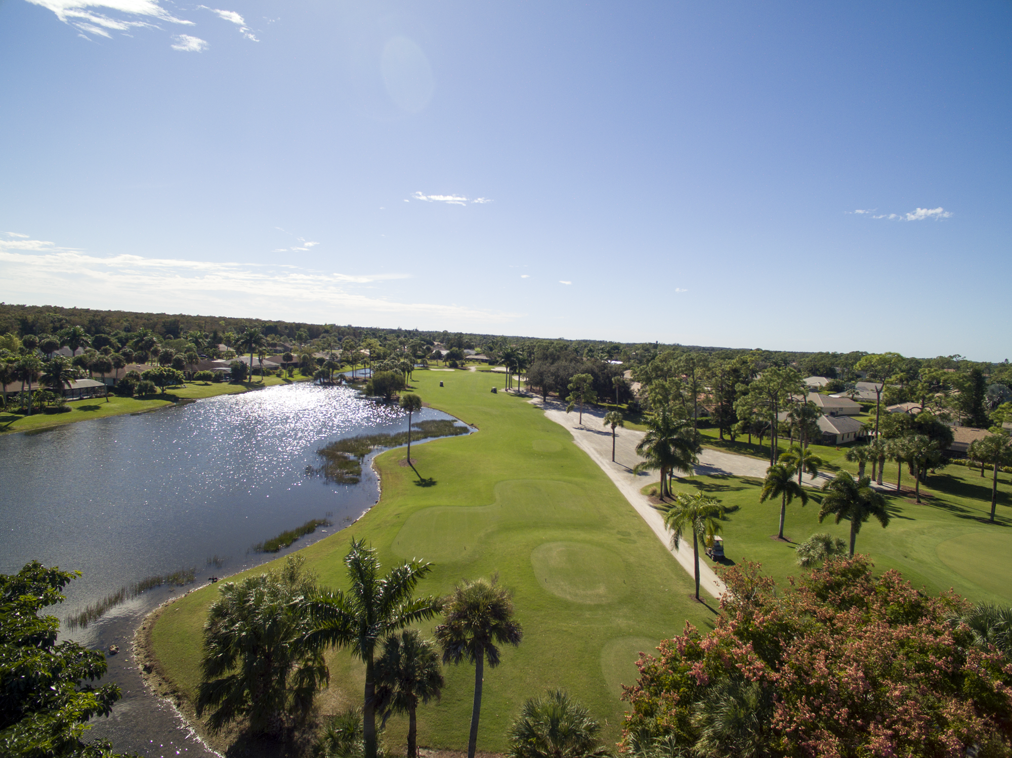 royal-palm-hole-15-tee-1