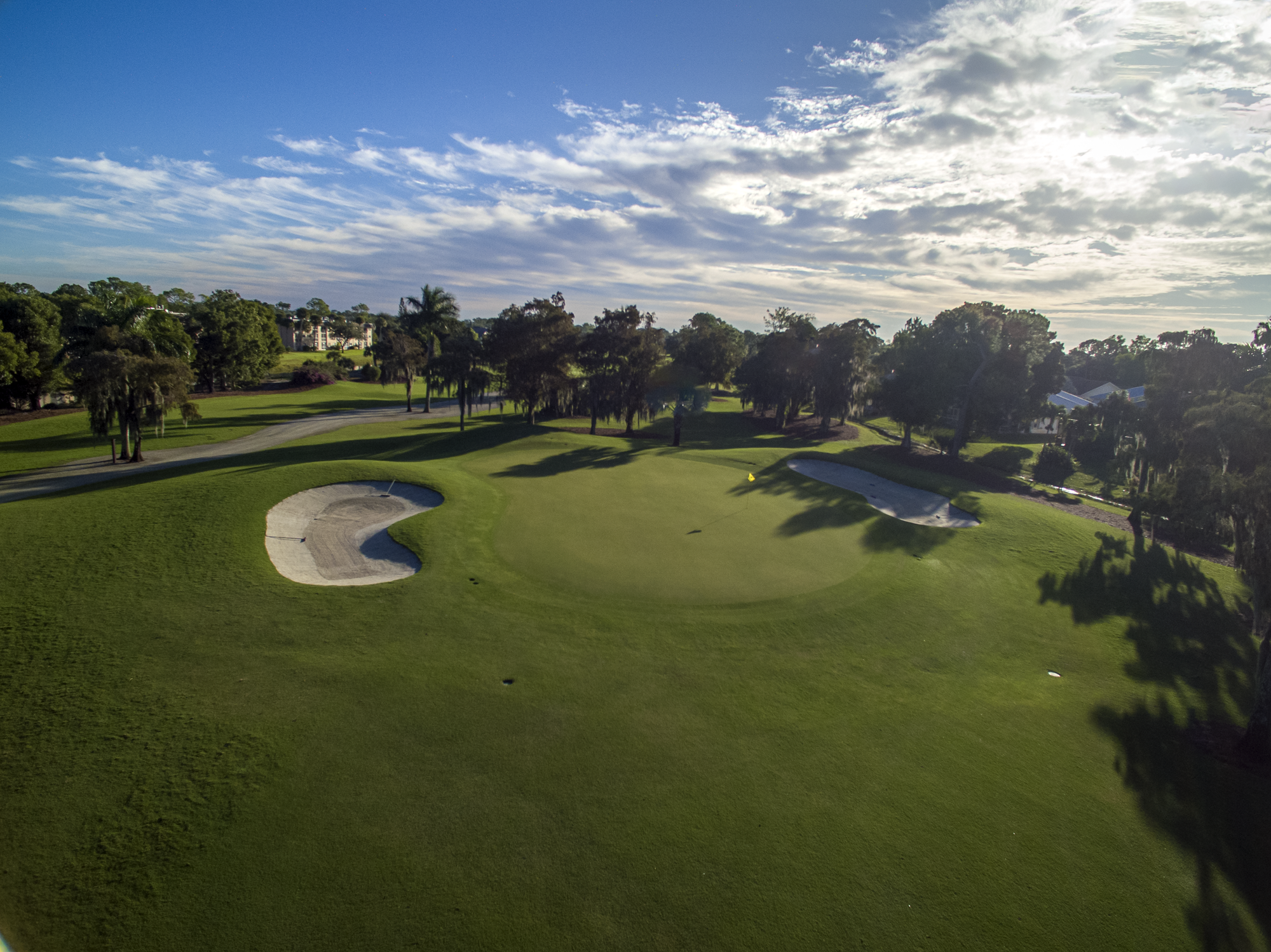 royal-palm-hole-3-green